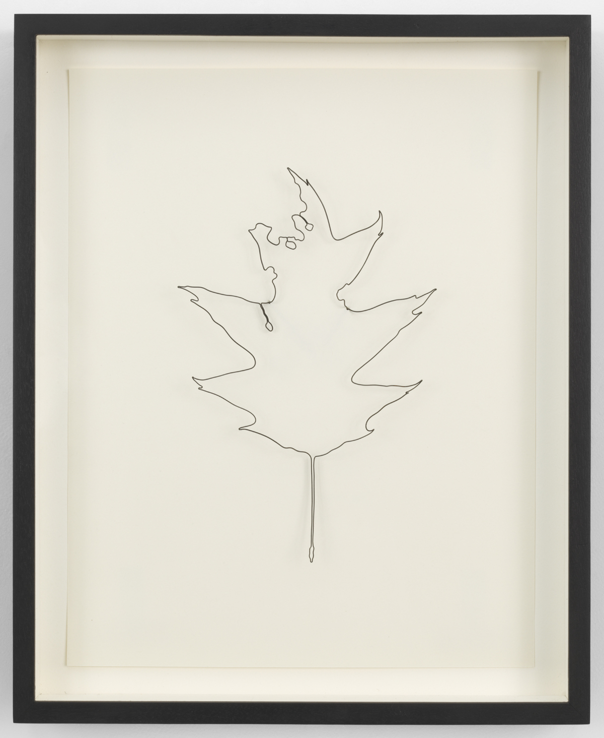 Biography – Leaves